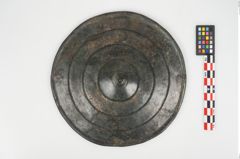 Foto von Bronzephalere (NHMW-PRAE-026092)